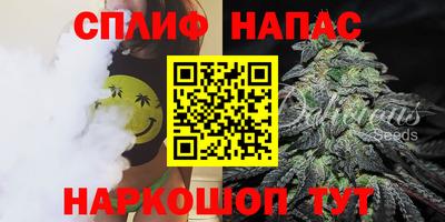 МДПВ Краснознаменск