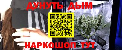 МДПВ Краснознаменск