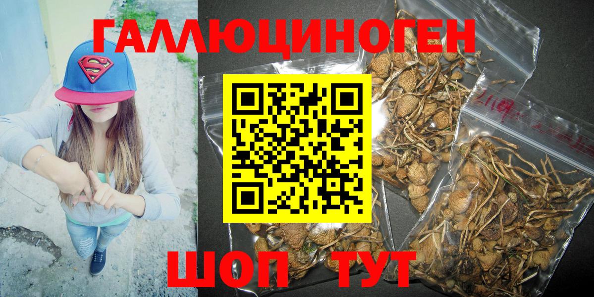 Галлюциногенные грибы мухоморы Кашира