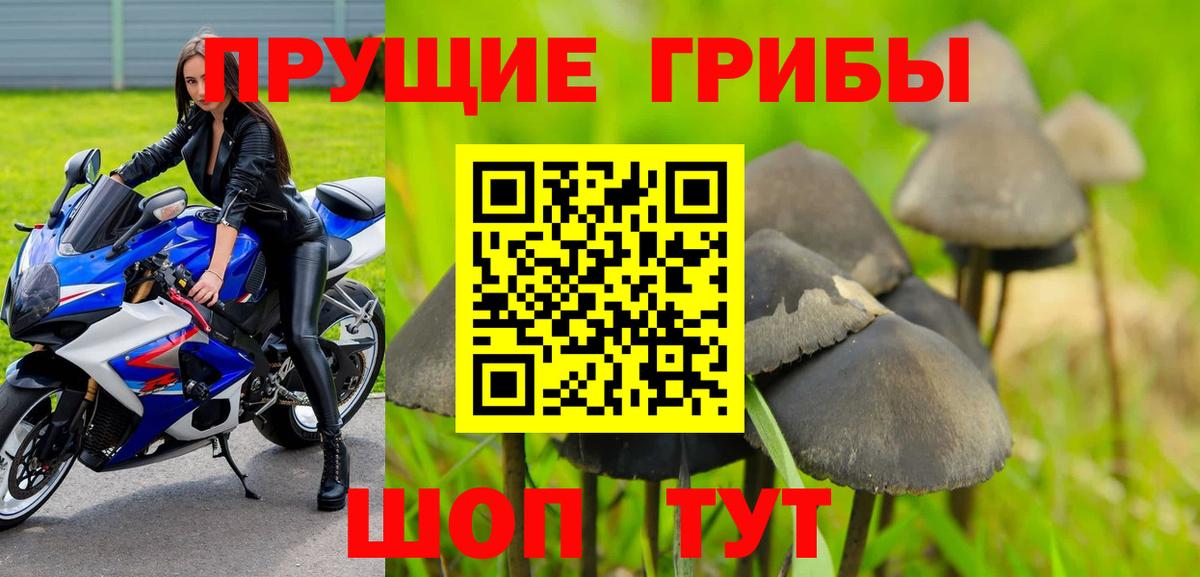 Галлюциногенные грибы Cubensis  где купить   Галлюциногенные грибы мухоморы  Кашира  Вход с VPN 