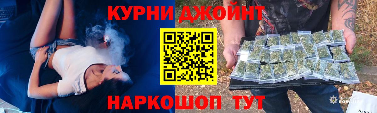 Каннабис сатива Кашира